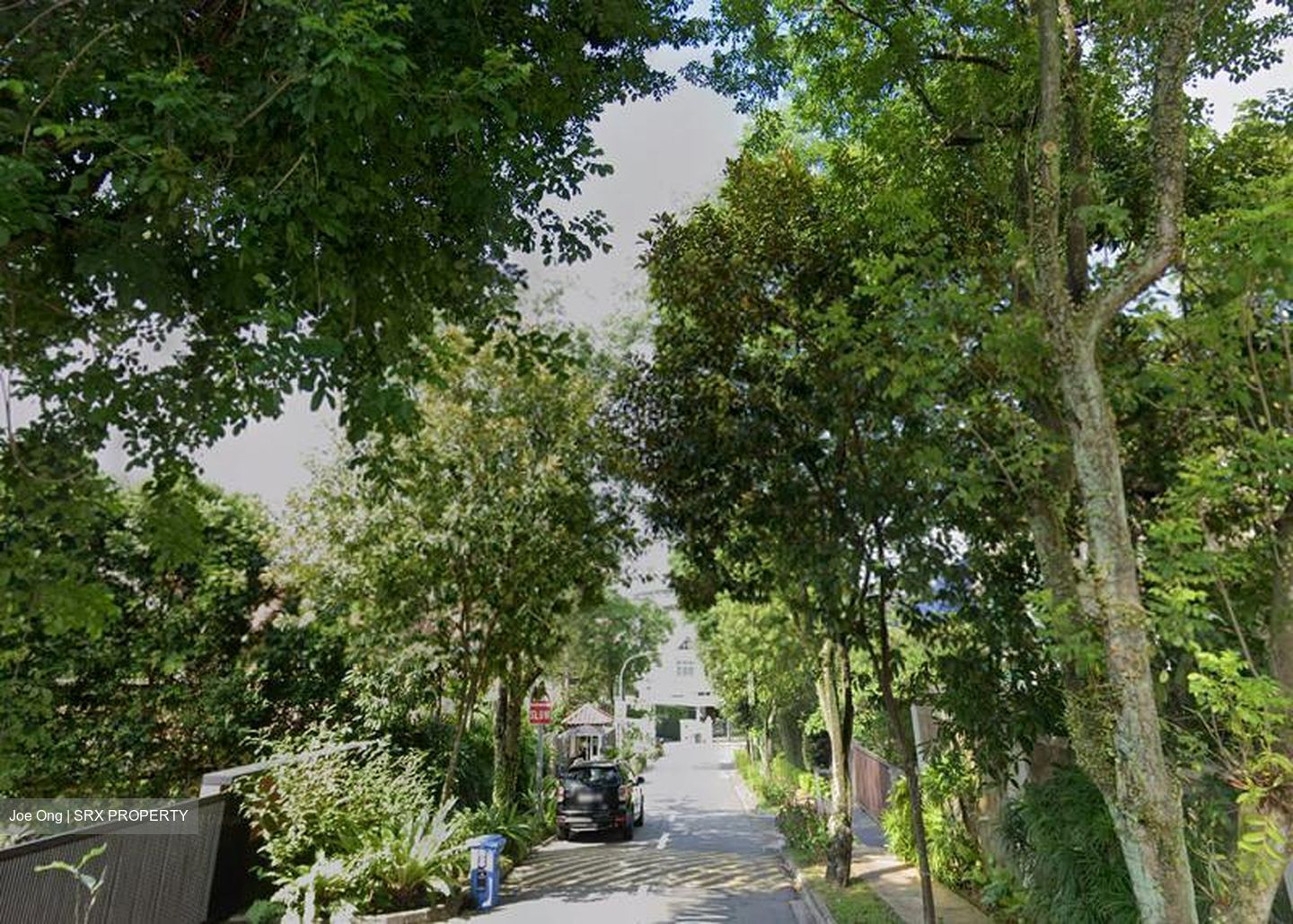 Henry Park (D10), Detached #395650311